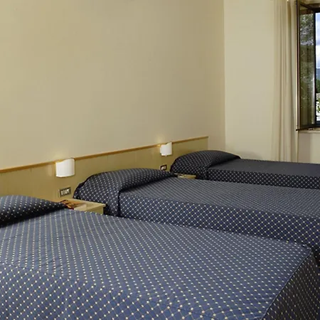 Ξενοδοχείο Domus Pacis 3*
