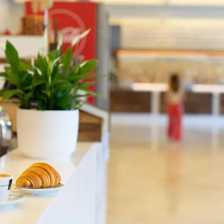 Hotel Domus Pacis Assisi
