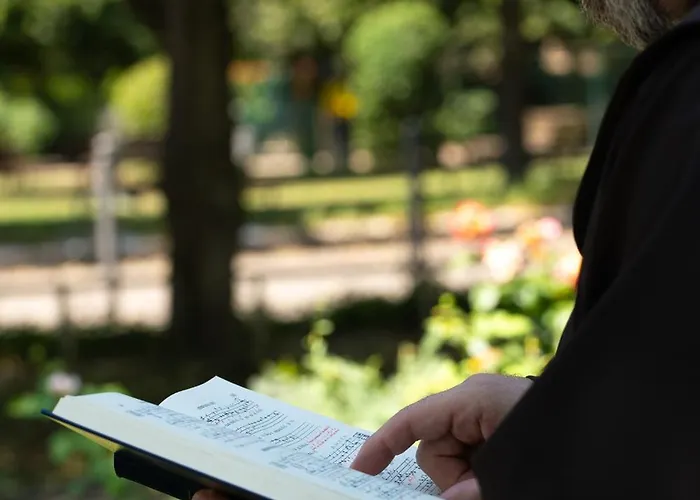 Hotel Domus Pacis 3*